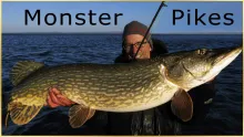 Video thumb for Fly Fishing For Big Pike