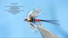 Video thumb for Grey & Black Mayfly