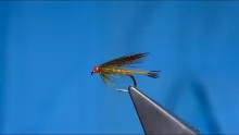 Video thumb for Golden Olive