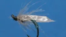 Video thumb for Gummy Caddis Flymph