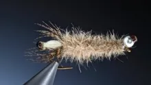 Video thumb for Peeping Caddis