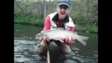 Video thumb for Caddis Hatch in Pennsylvania
