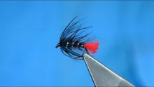 Video thumb for Peacock Zulu