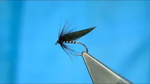 Video thumb for Magpie Tail