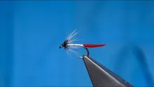 Video thumb for The Priest