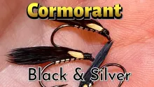 Video thumb for Black and Silver Cormorant