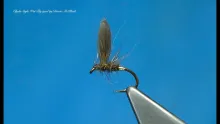 Video thumb for Blae & Hare's Lug