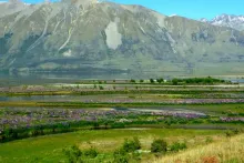 User submitted picture: The river and spring cree...