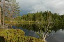 User submitted picture: Totally quietness, but in...