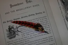 User submitted picture: Streamer Fly