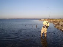 User submitted picture: The moment of truth...
R...