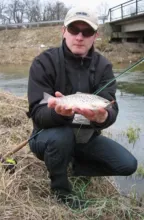 User submitted picture: Trout