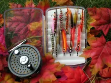 User submitted picture: Autumn's Beauty