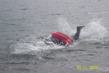 User submitted picture: Always remember when pike...