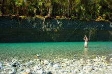 User submitted picture: fighting paringa trout