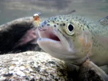 User submitted picture: candy jig