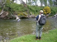 User submitted picture: There is a fish in there ...