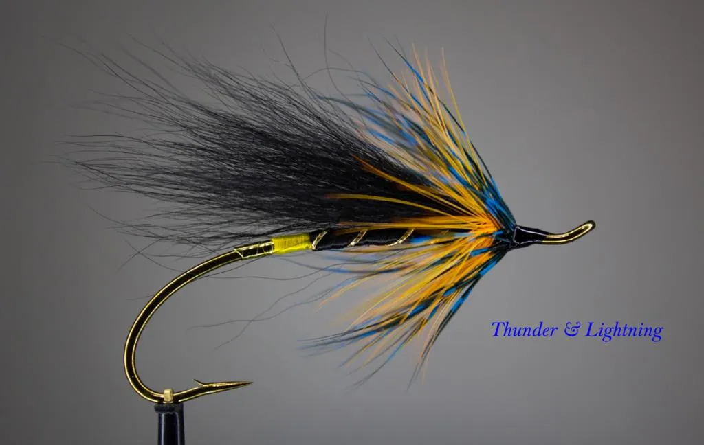 User submitted picture: Thunder & Lightning