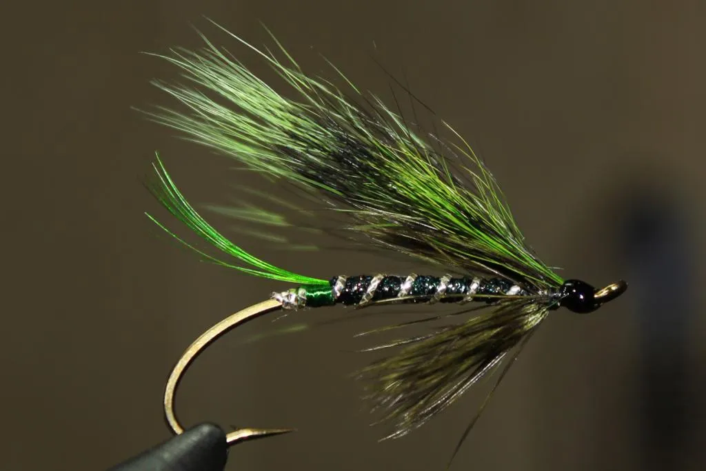 User submitted picture: Forever Green