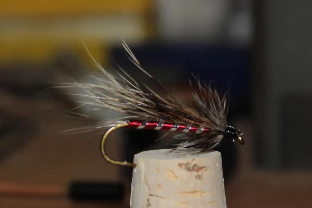 User submitted picture: Llama