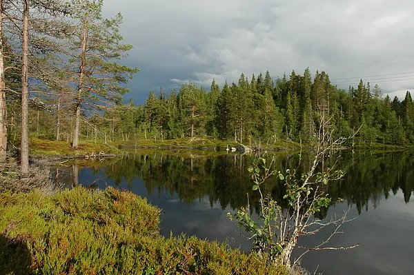 User submitted picture: Totally quietness, but in...