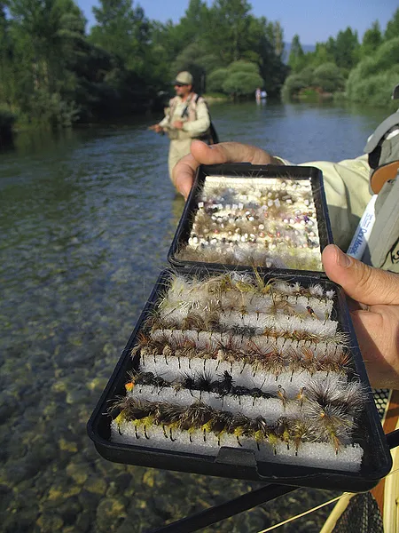 User submitted picture: Selection