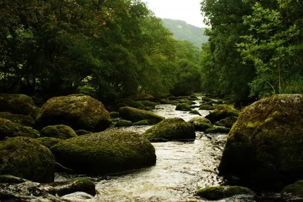 User submitted picture: Somewhere in mountain of ...