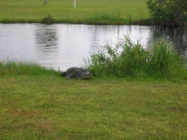 User submitted picture: What are you doing in my ...