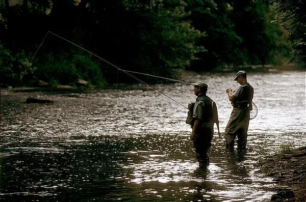 User submitted picture: Two friends fishing in th...
