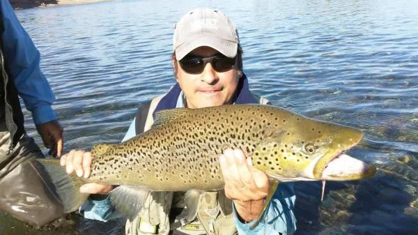User submitted picture: Marron 6.2 kg Rio Limay P...