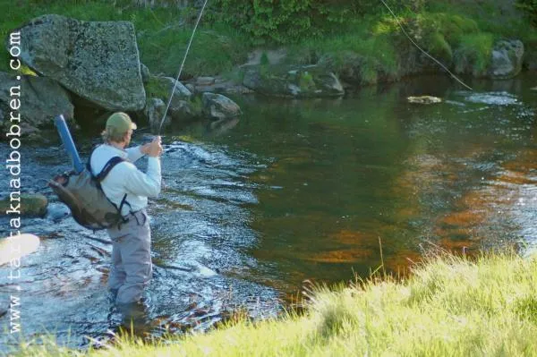 User submitted picture: Karkonosze mountain fly f...