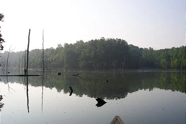 User submitted picture: Rush Run Lake is a 37 acr...