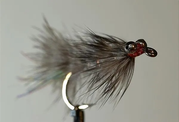 User submitted picture: Killing eyes.

"GrÃ¥ Fr...