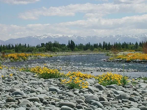 User submitted picture: Spring is a wonderful tim...