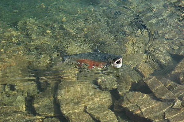 User submitted picture: I love you