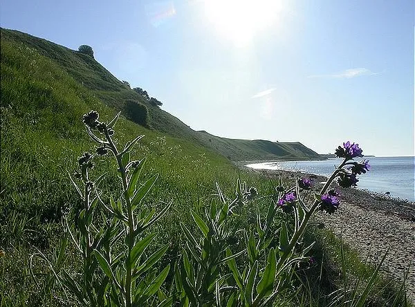 User submitted picture: View