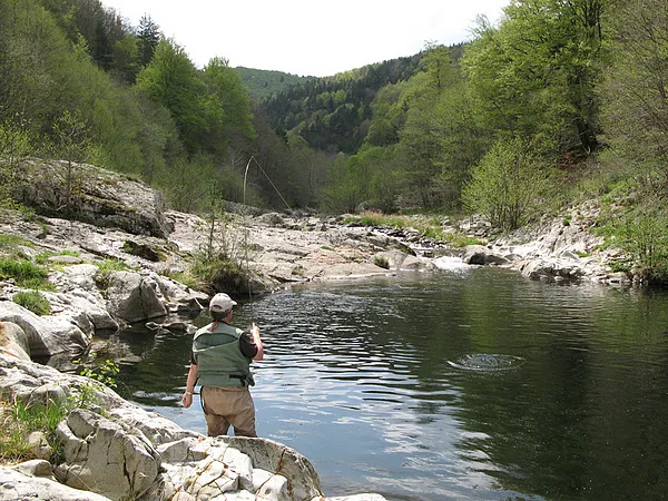 User submitted picture: Early season fighting by ...