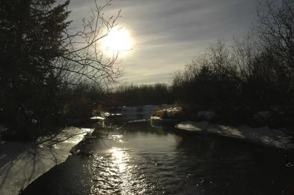 User submitted picture: Taken Feb 3 on a rare war...