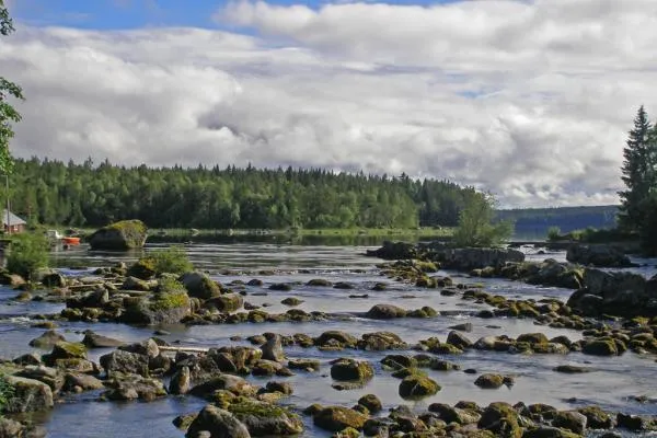 User submitted picture: From the streams of Stavr...