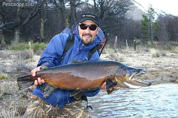 User submitted picture: A jurassic brown trout, c...