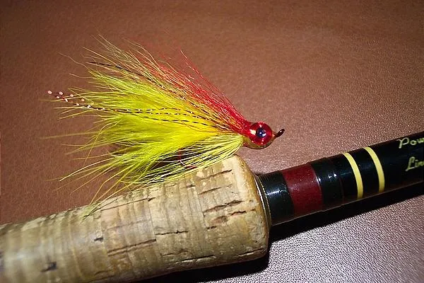 User submitted picture: The Goldfish Deceiver is ...