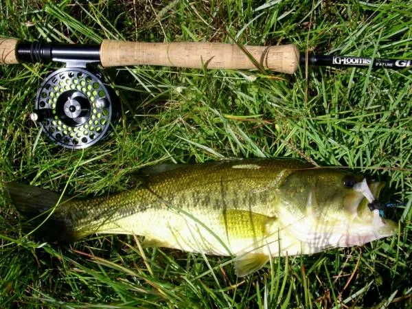 User submitted picture: Largemouth caugth on "Lan...