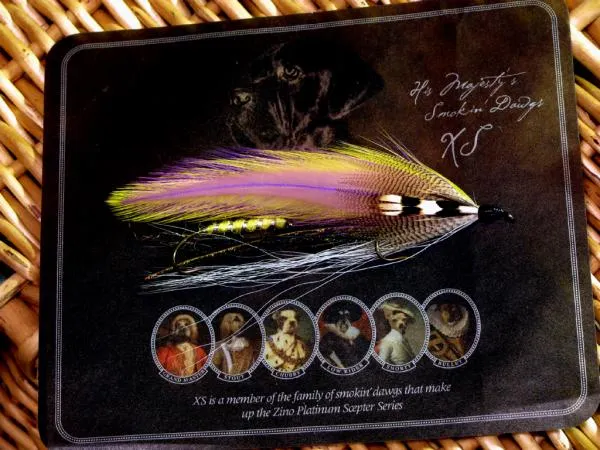 User submitted picture: Kushaqua Tandem