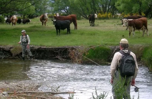 User submitted picture: Watch your backcast Val.