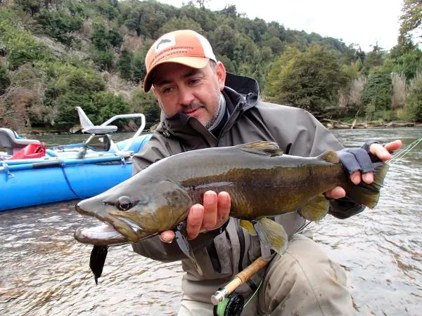 User submitted picture: www.lavaguada.cl : Brown ...