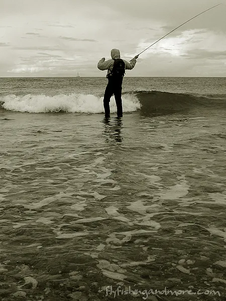 User submitted picture: Danish Delight - searchin...