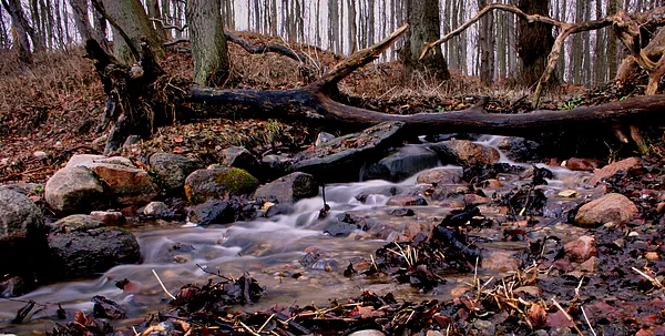 User submitted picture: Small Stream, mild winter...