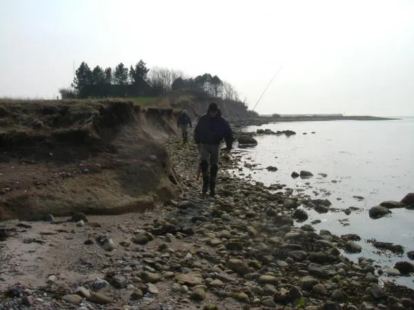 User submitted picture: My friends