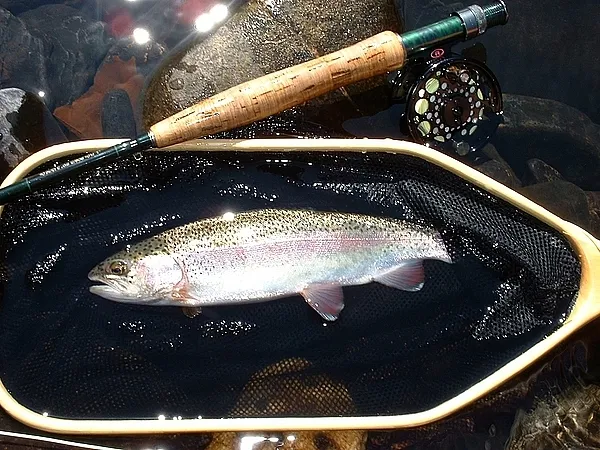 User submitted picture: A nice Rainbow caught whi...