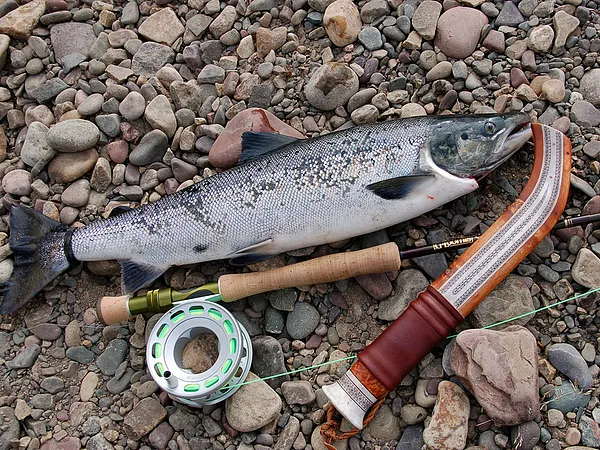 User submitted picture: Grilse and gear